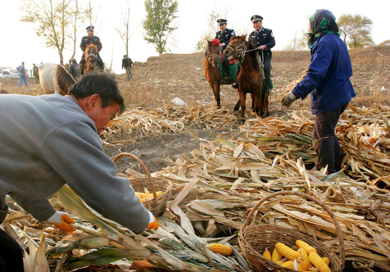 2009年10月，“馬背110”民警在田間巡邏。